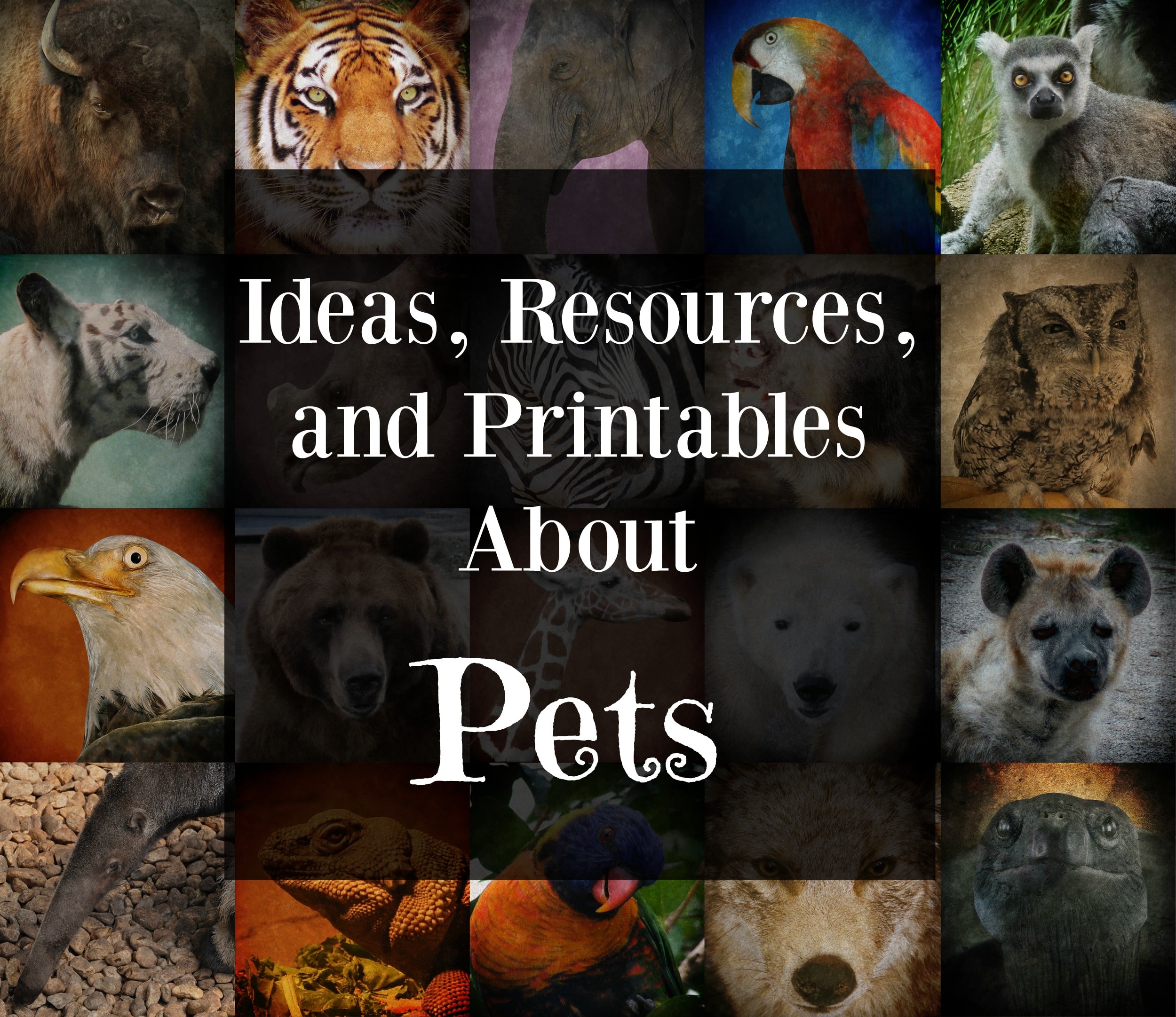 Ideas, Resources, and Printables About Animals