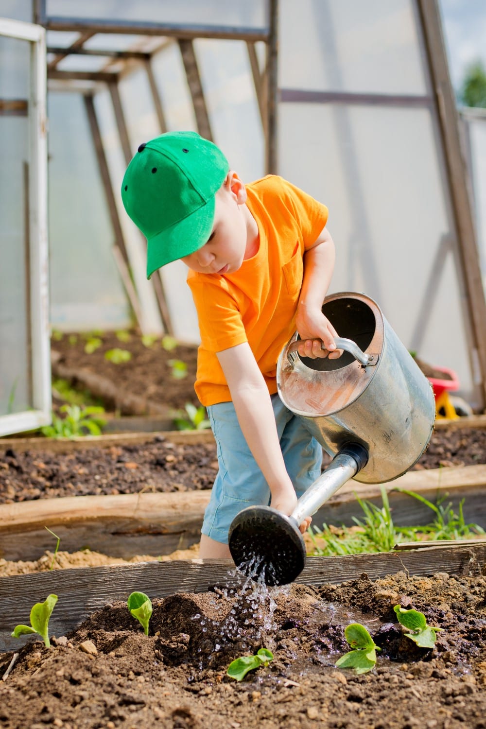 25 Creative Ways to Learn Math in the Garden