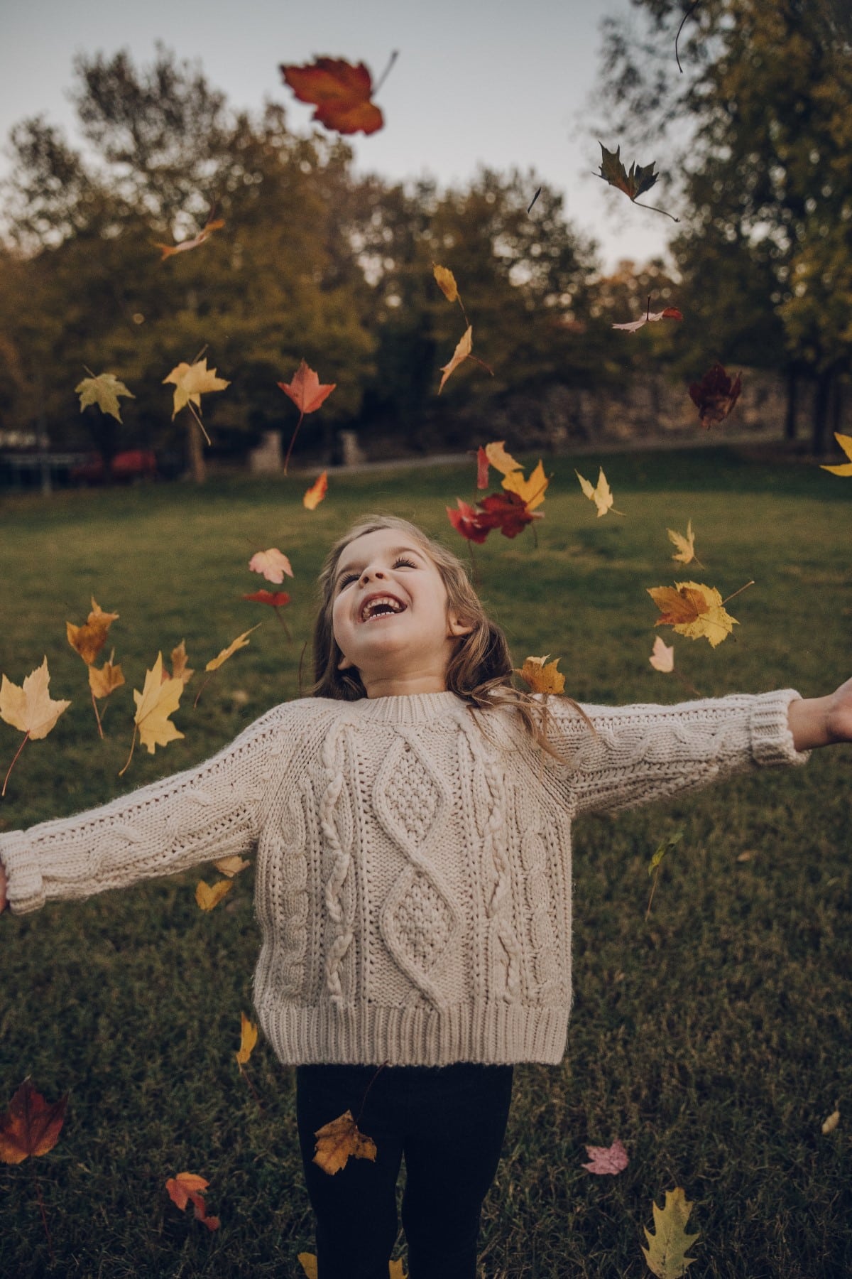 Easy Fall Unit Studies for Homeschoolers