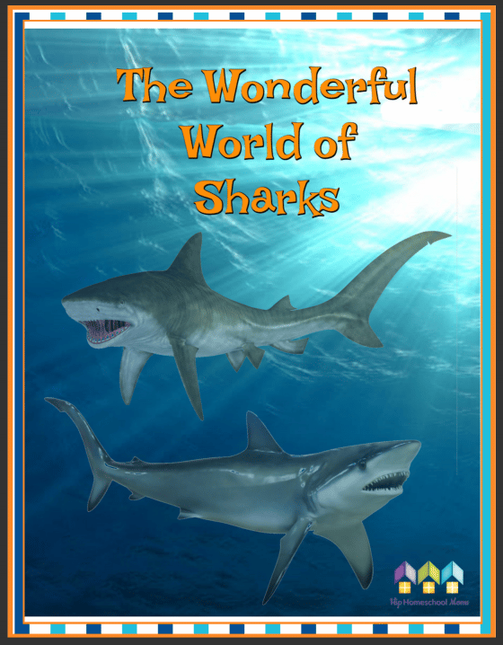 Sharks Workbook Free During Shark Week